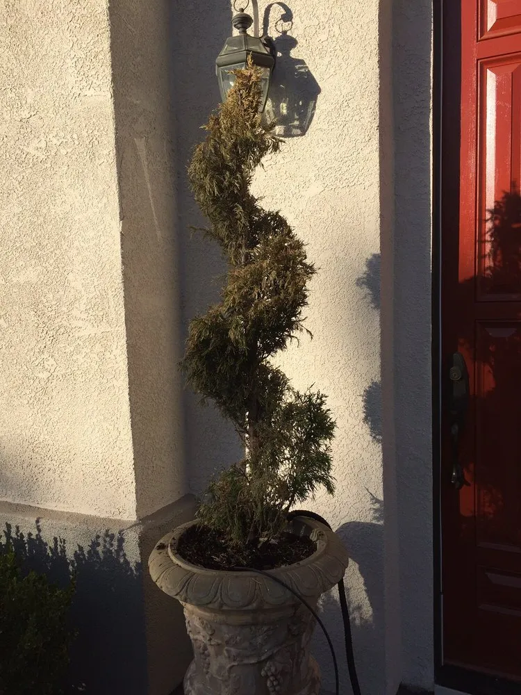 Local yard cleanup service in El Dorado Hills, CA - El Dorado Hills Property Services