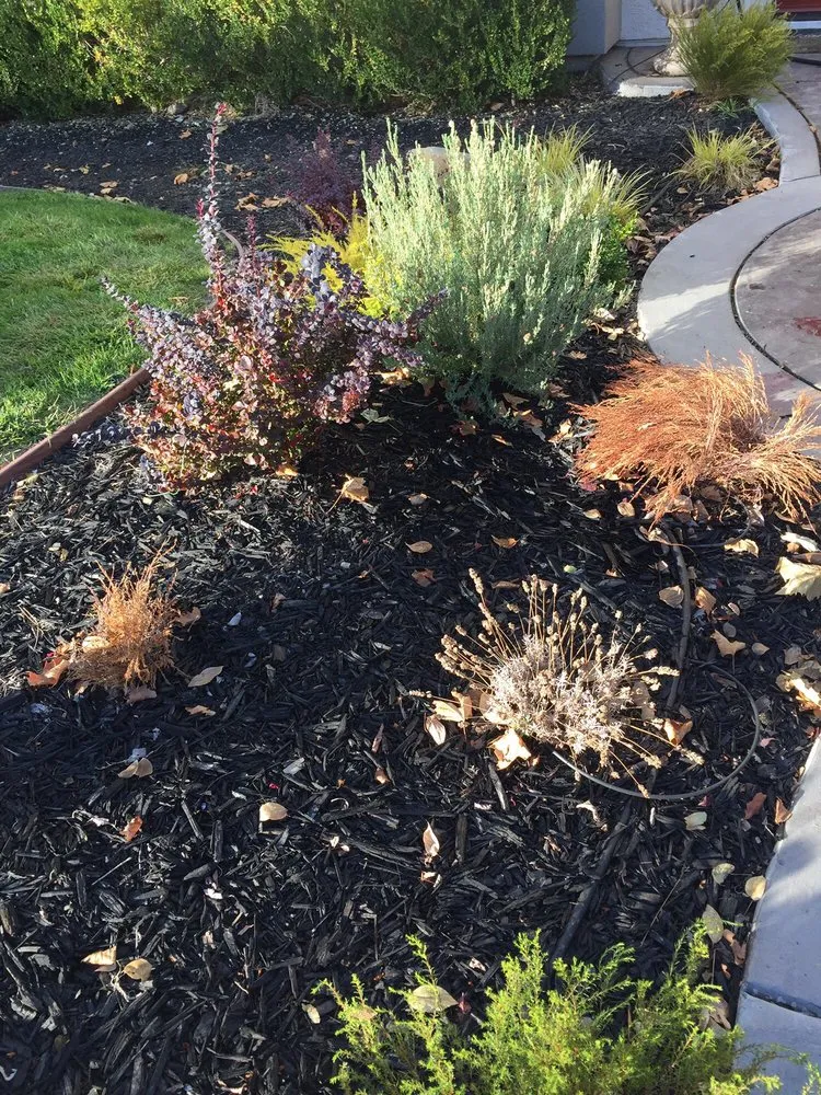 Trusted residential landscaping for residential properties in El Dorado Hills, CA by El Dorado Hills Property Services