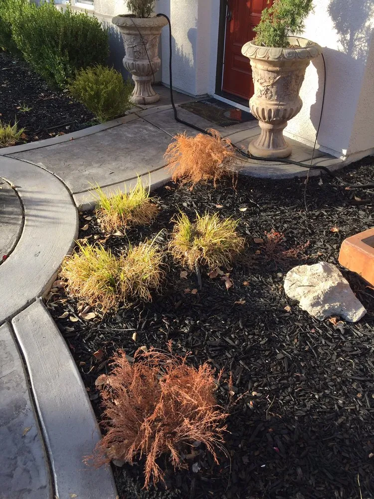 Top-rated yard maintenance in El Dorado Hills, CA - El Dorado Hills Property Services