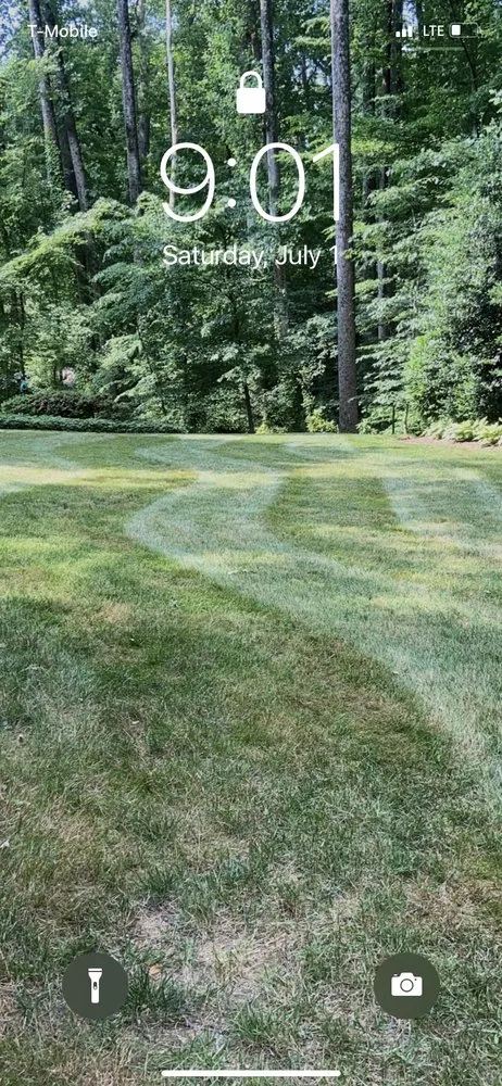 Expert lawn care service experts serving Dale City, VA - El Dorado Landscaping