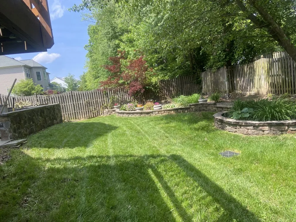 Professional yard cleanup service in Dale City, VA - El Dorado Landscaping