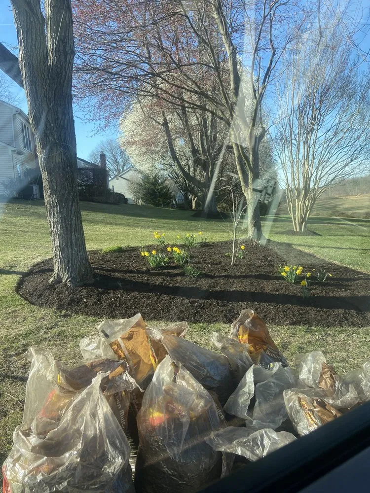 Local lawn care service for beautiful yards across Dale City, VA - El Dorado Landscaping