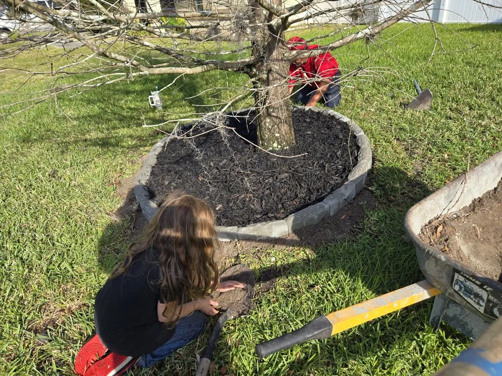 Reliable residential landscaping experts serving Crescent City, FL - El Dorado Property Solutions