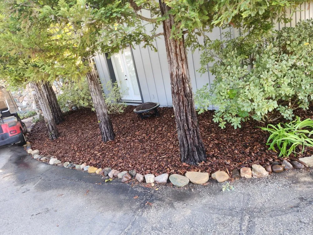 Trusted yard cleanup service with custom design in Lompoc, CA by El Eden Landscaping