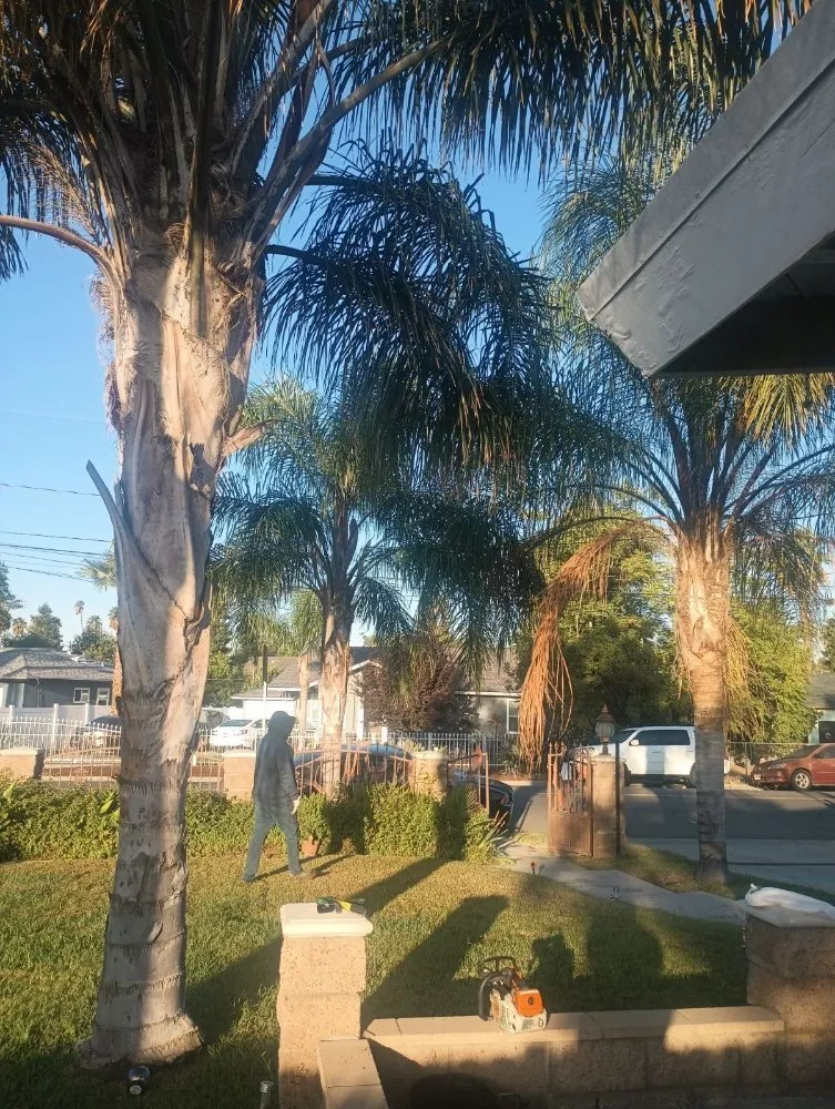 Professional landscaping services for homes across San Bernardino, CA - El Encanto The Charm Landscaping