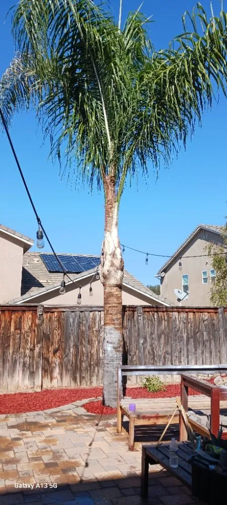 Local yard maintenance for homes across San Bernardino, CA - El Encanto The Charm Landscaping