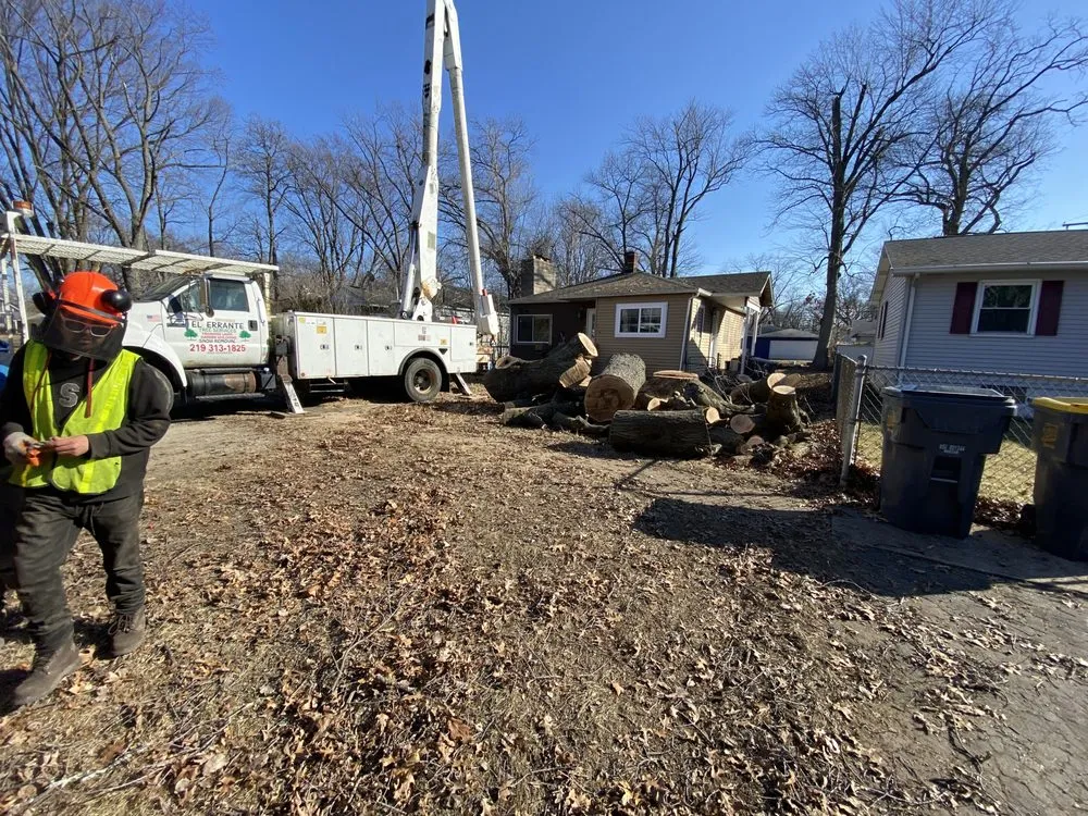 Trusted landscaping services near you across Merrillville, IN - El Errante Tree & Landscaping Service