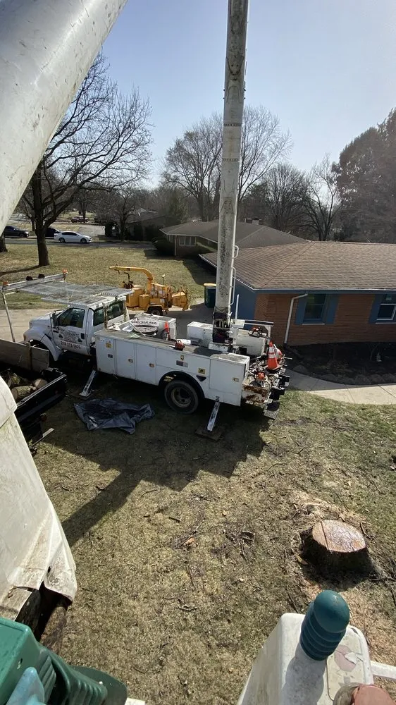 Custom outdoor landscaping in Merrillville, IN - El Errante Tree & Landscaping Service