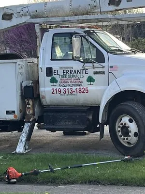 El Errante Tree & Landscaping Service