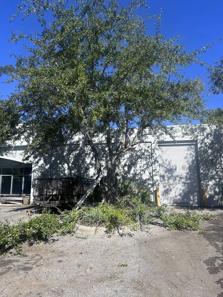 Top-rated outdoor landscaping in Fort Walton Beach, FL by El Fenix Construction