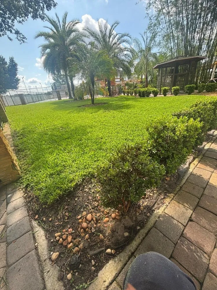 Local lawn mowing service in Orlando, FL by El Gallo Landscaping