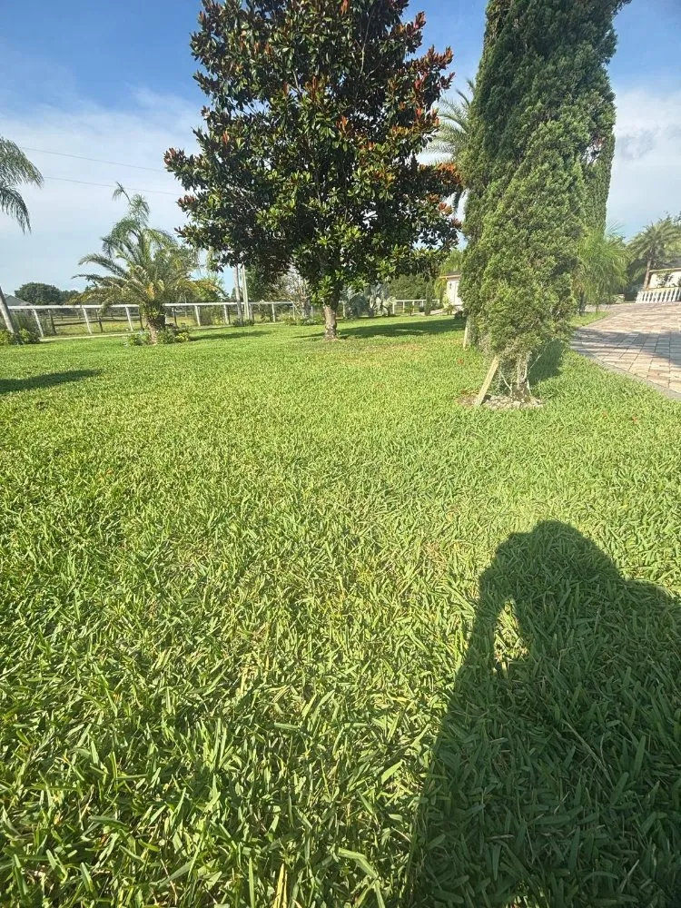 Local landscape design with custom design in Orlando, FL by El Gallo Landscaping