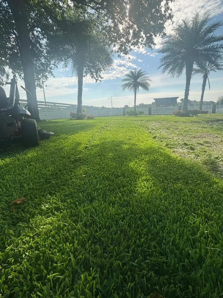 Affordable lawn mowing service in Orlando, FL - El Gallo Landscaping