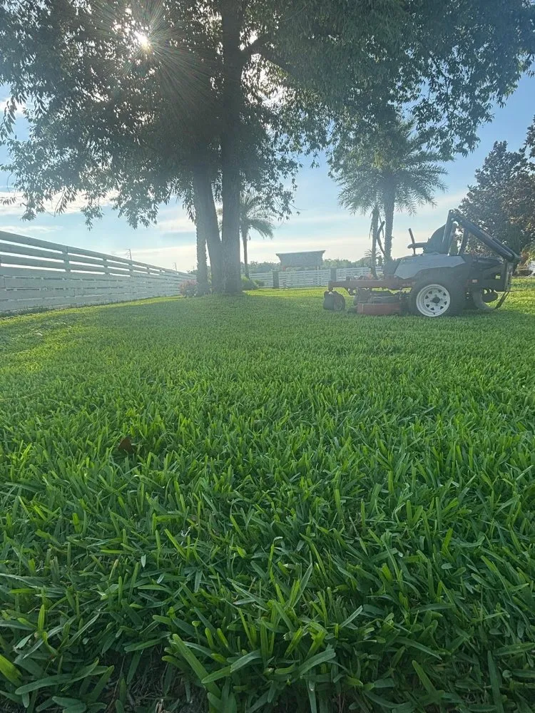 Trusted residential landscaping for year-round maintenance across Orlando, FL - El Gallo Landscaping