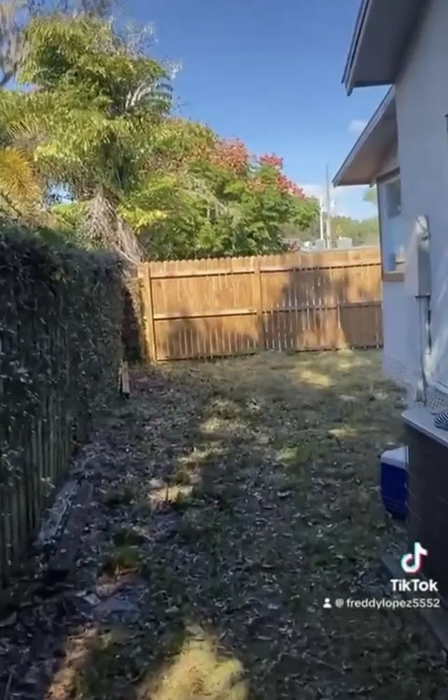 Affordable garden landscaping in Orlando, FL - El Gallo Landscaping