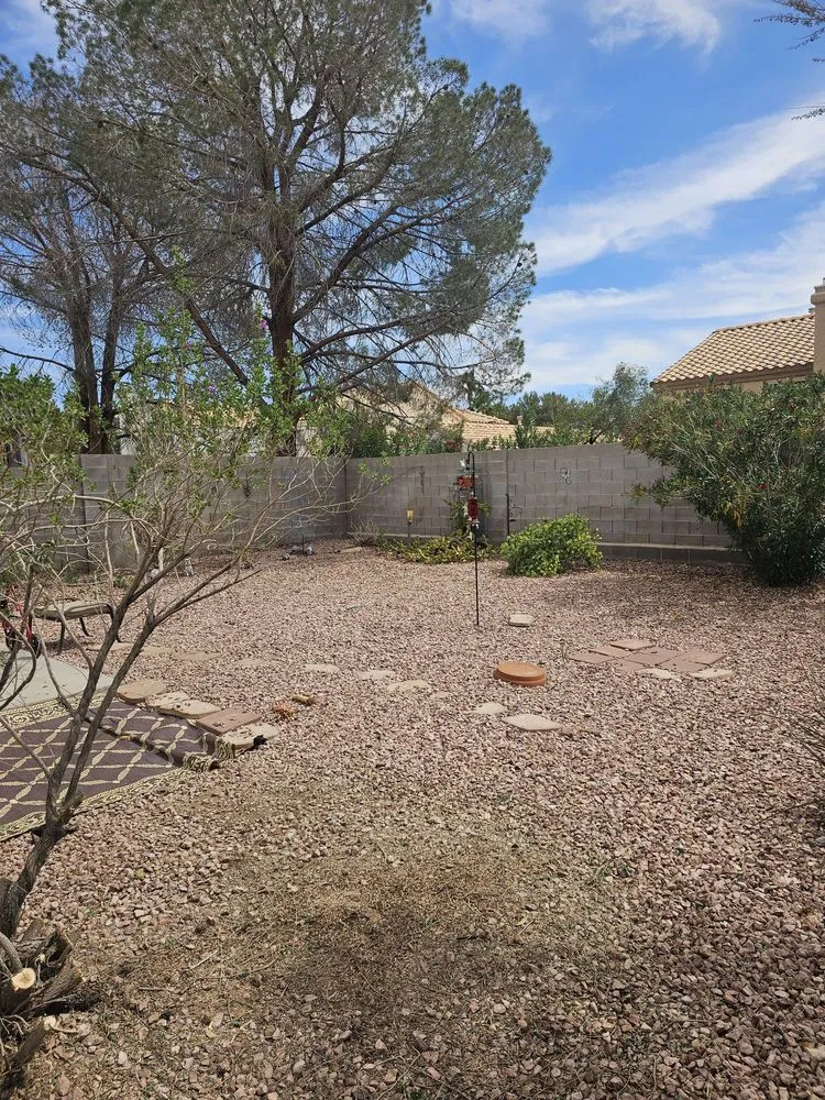 Expert lawn care service in Mesquite, NV by El Gallo