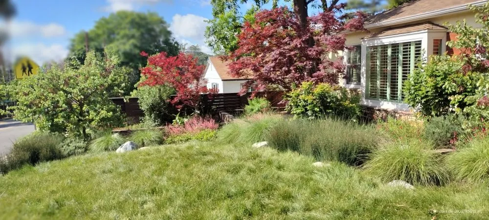 Affordable garden landscaping for outdoor upgrades in Los Angeles, CA by El Granero Landscape