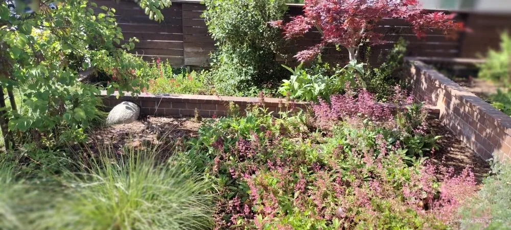 Affordable landscape installation in Los Angeles, CA - El Granero Landscape