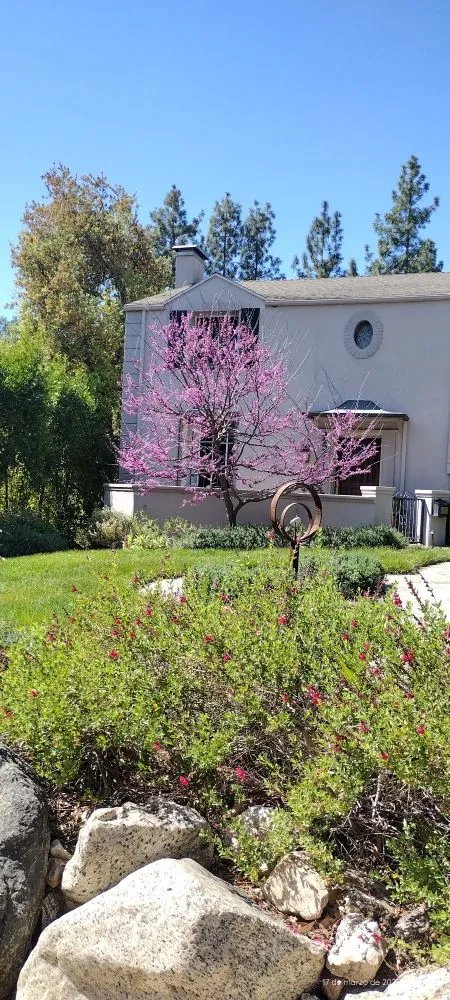 Trusted yard maintenance experts serving Los Angeles, CA - El Granero Landscape