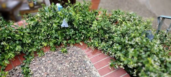 El Granero Landscape Logo