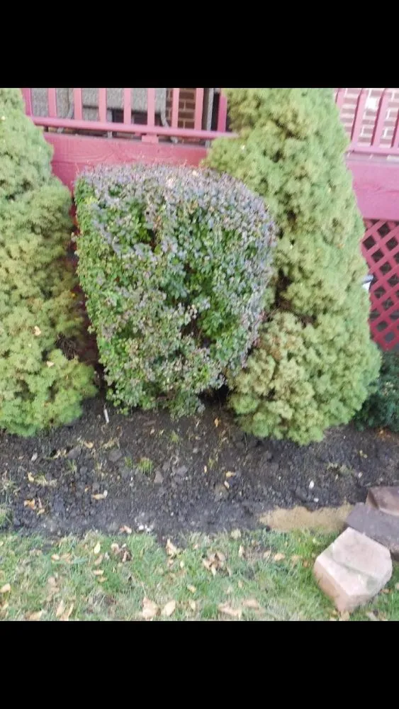 Local landscaping services for homes in Evanston, IL by E.L. Green Is Life