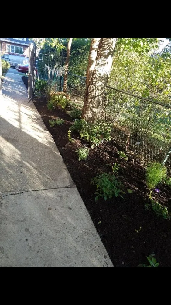Local landscaping services with custom design in Evanston, IL by E.L. Green Is Life
