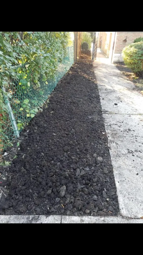 Affordable landscape design experts serving Evanston, IL - E.L. Green Is Life