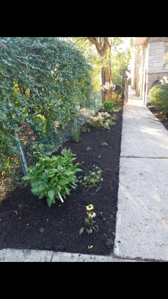 Expert residential landscaping in Evanston, IL by E.L. Green Is Life