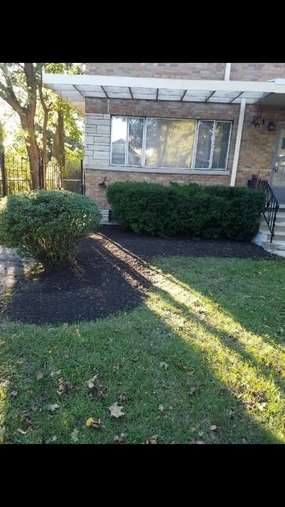 Affordable landscape design experts serving Evanston, IL - E.L. Green Is Life