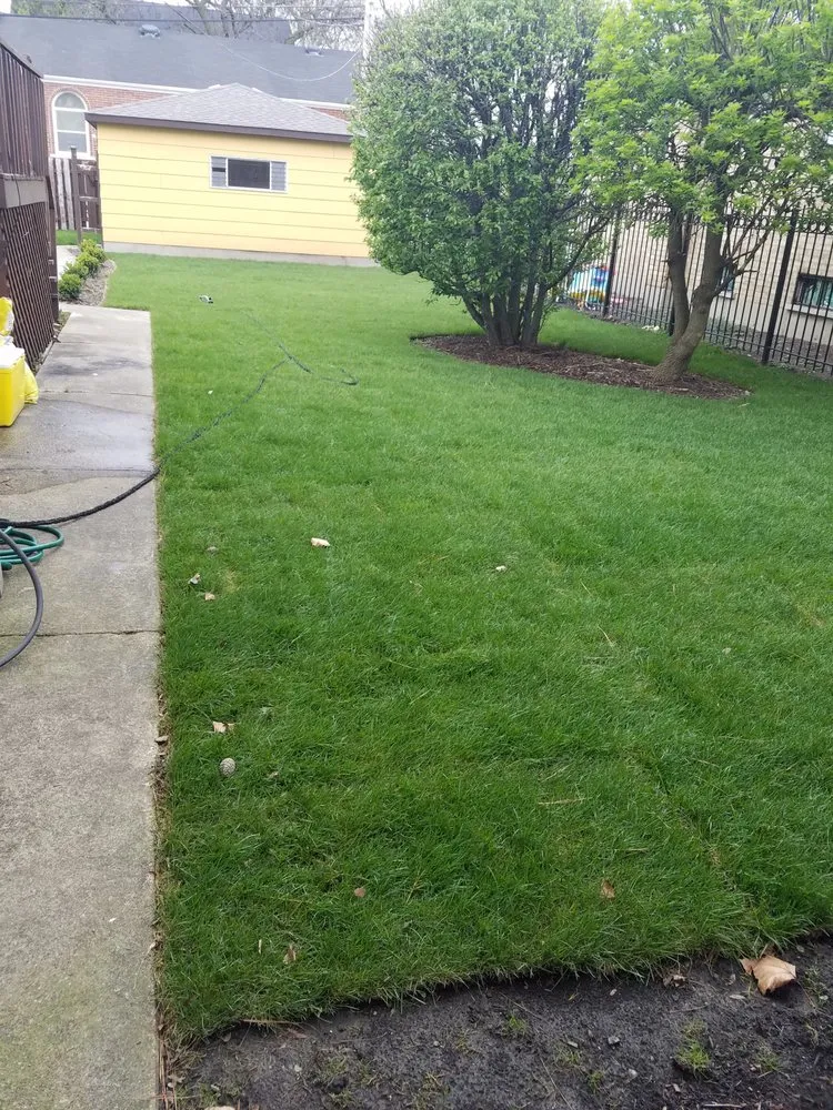 Expert yard cleanup service for beautiful yards across Evanston, IL - E.L. Green Is Life