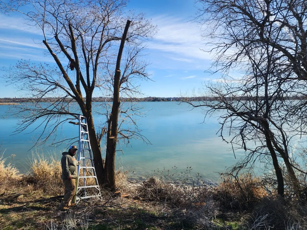 Top-rated yard maintenance for beautiful yards in Ephrata, WA by El Guero Landscaping