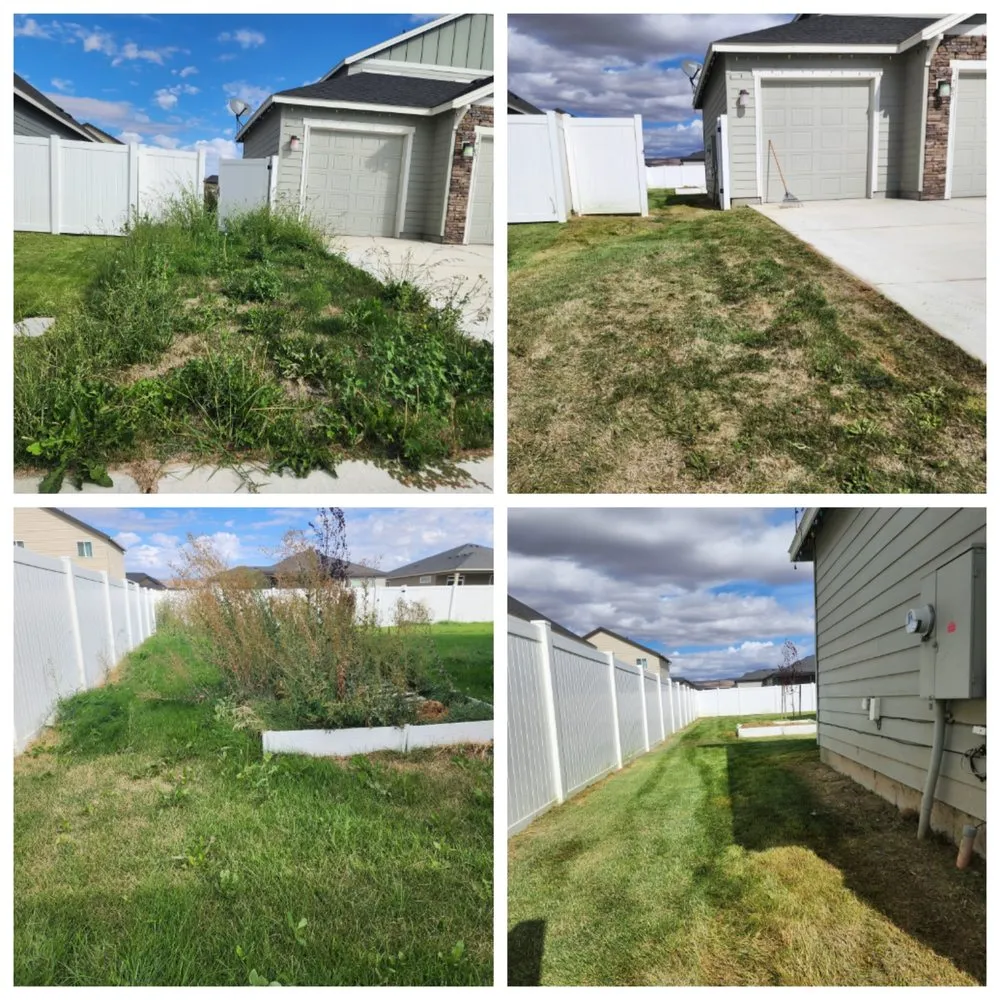 Affordable lawn care service in Ephrata, WA by El Guero Landscaping