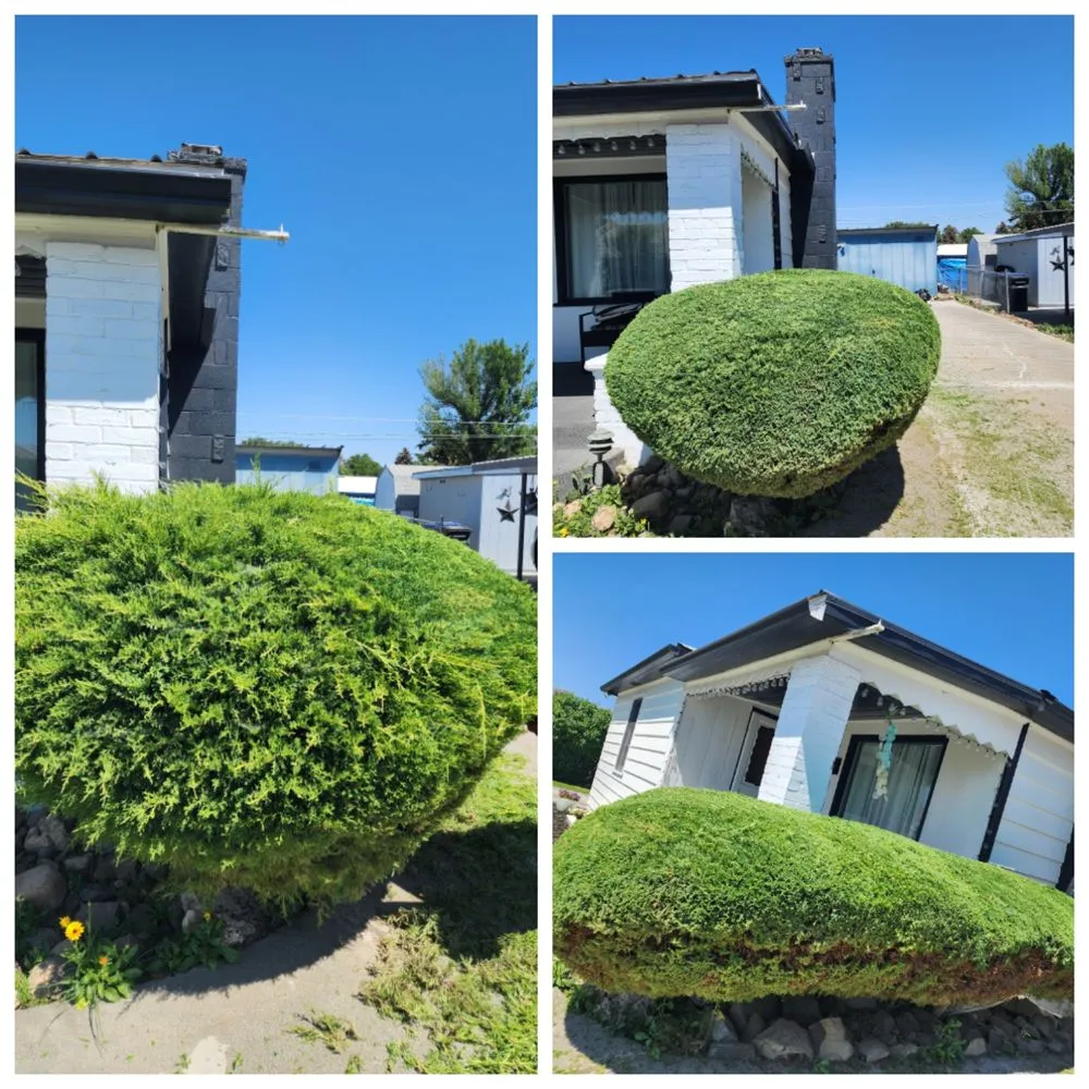 Top-rated garden landscaping experts serving Ephrata, WA - El Guero Landscaping