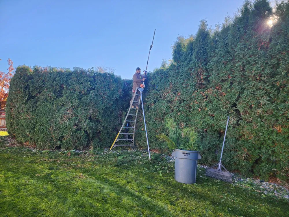 Reliable residential landscaping with custom design across Ephrata, WA - El Guero Landscaping