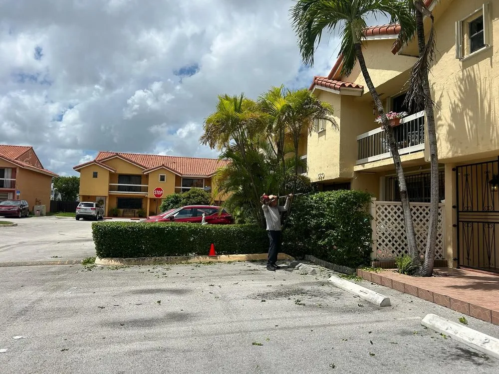 Reliable lawn care service in Miami, FL by El Jicaro