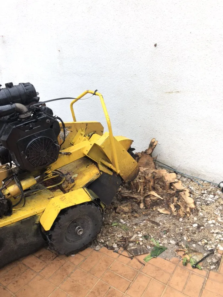 Professional landscape installation for year-round maintenance across Miami, FL - El Jicaro