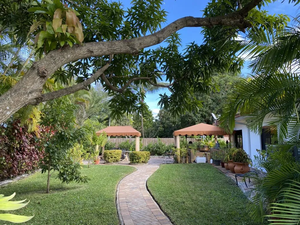 Trusted yard maintenance in Miami, FL by El Jicaro