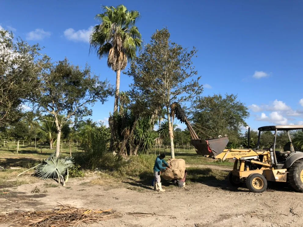 Professional landscaping services for beautiful yards across Miami, FL - El Jicaro