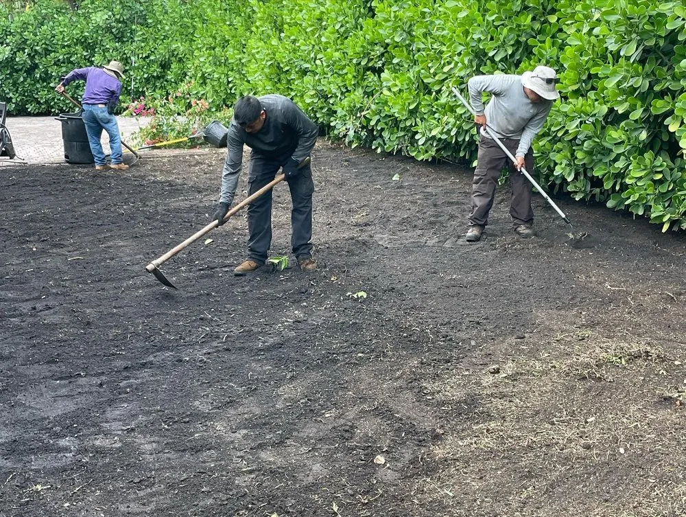 Top-rated landscaping services for residential properties across Miami, FL - El Jicaro