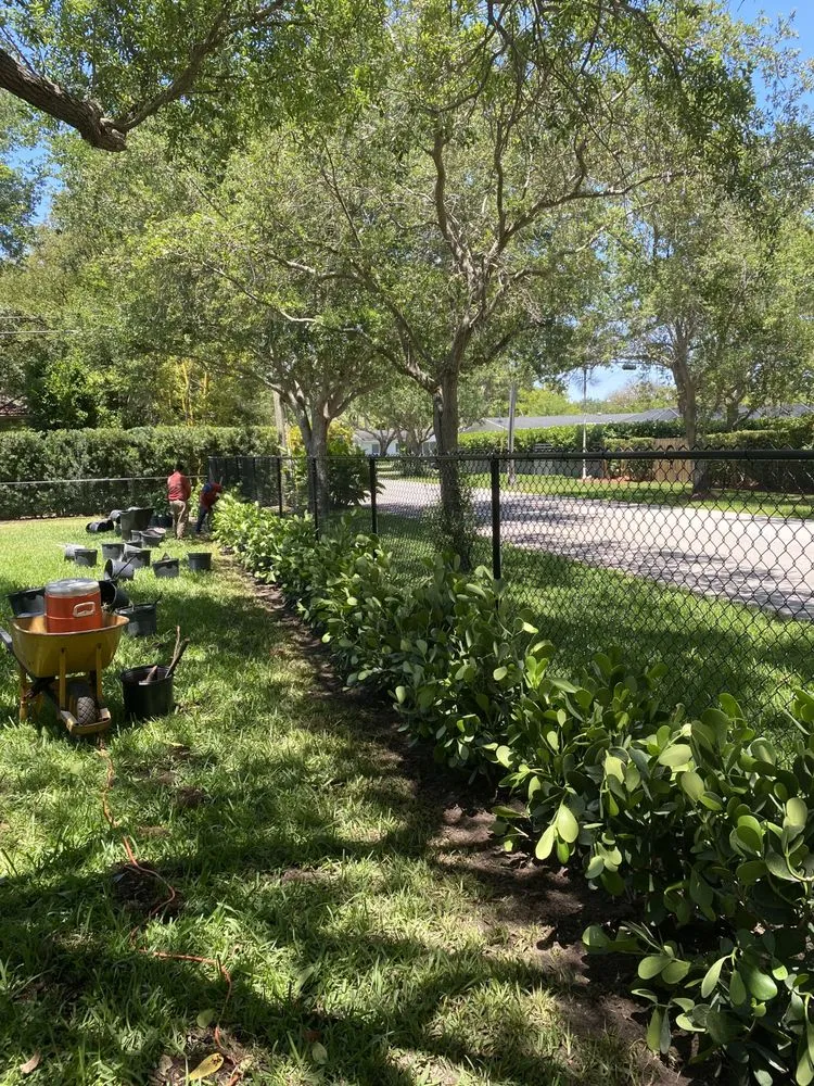 Professional landscape design experts serving Miami, FL - El Jicaro