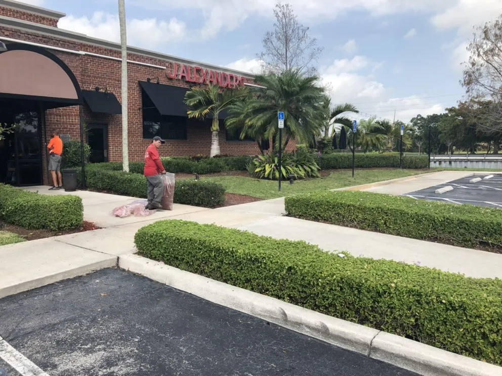 Expert yard maintenance in Miami, FL by El Jicaro