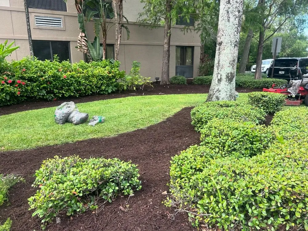 Custom lawn care service for beautiful yards in Miami, FL by El Jicaro