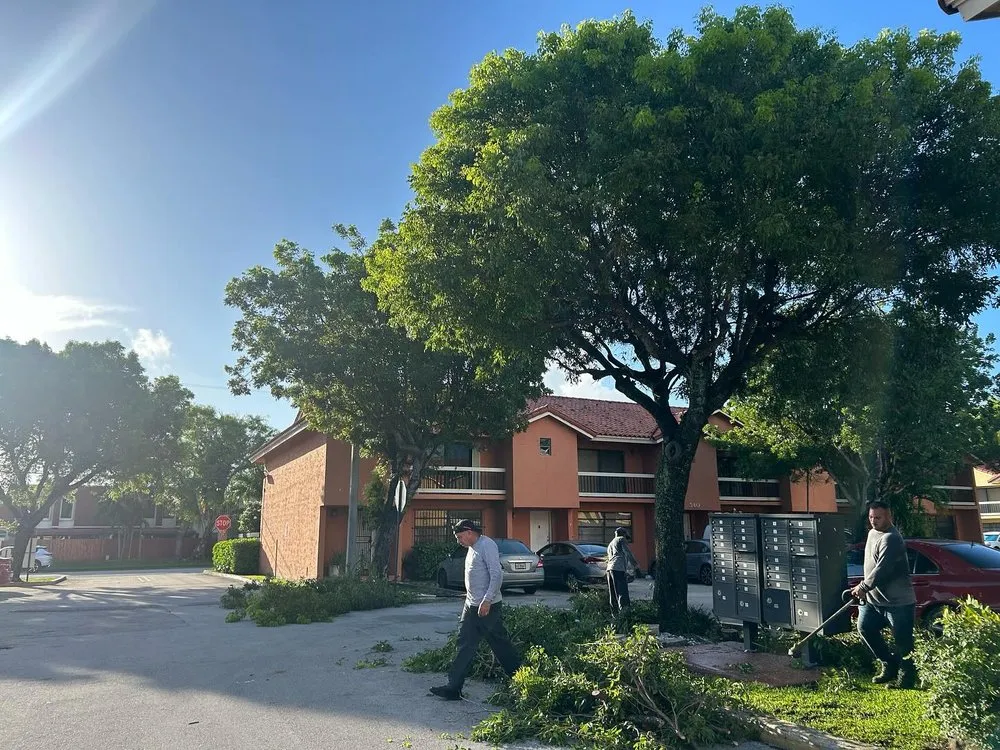 Trusted landscaping services in Miami, FL by El Jicaro