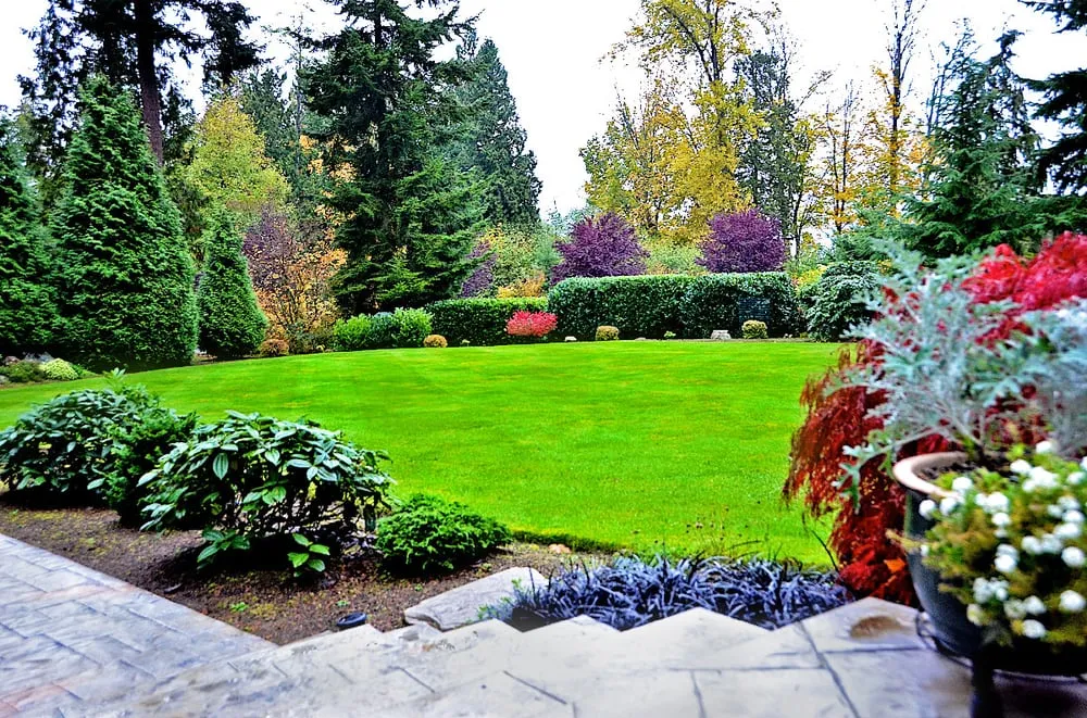 Local landscape design for residential properties across Camarillo, CA - EL Lawn Care Service