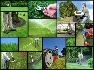 Local yard cleanup service in Camarillo, CA - EL Lawn Care Service