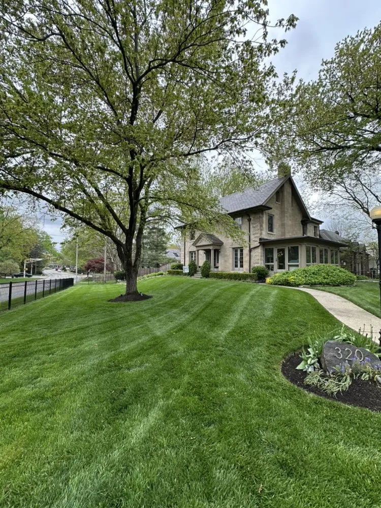 Expert lawn care service in Indianapolis, IN by El Llano Landscaping