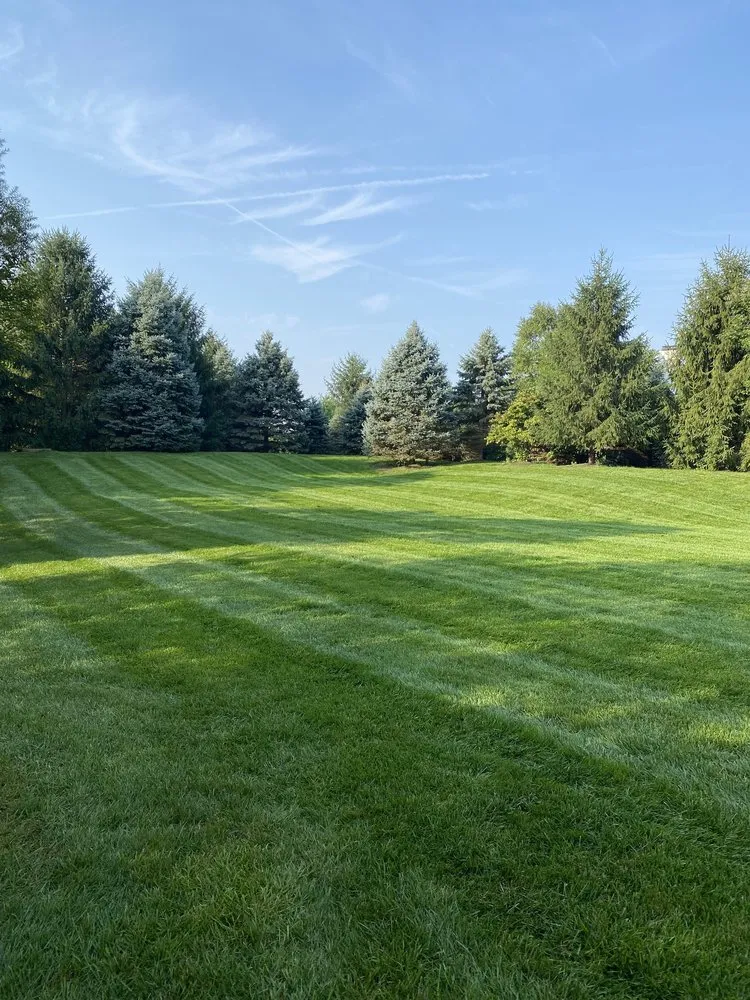 Trusted yard cleanup service in Indianapolis, IN by El Llano Landscaping