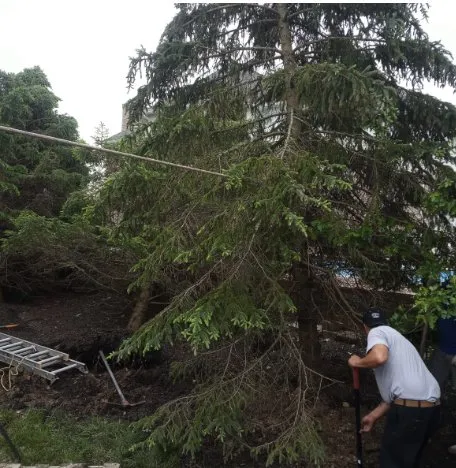 Top-rated outdoor landscaping in Indianapolis, IN - El Llano Landscaping