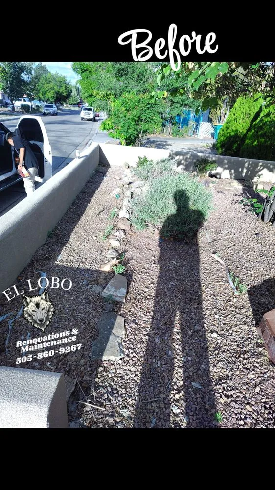 Affordable landscaping services experts serving Farmington, NM - El Lobo Renovation and Maintenance