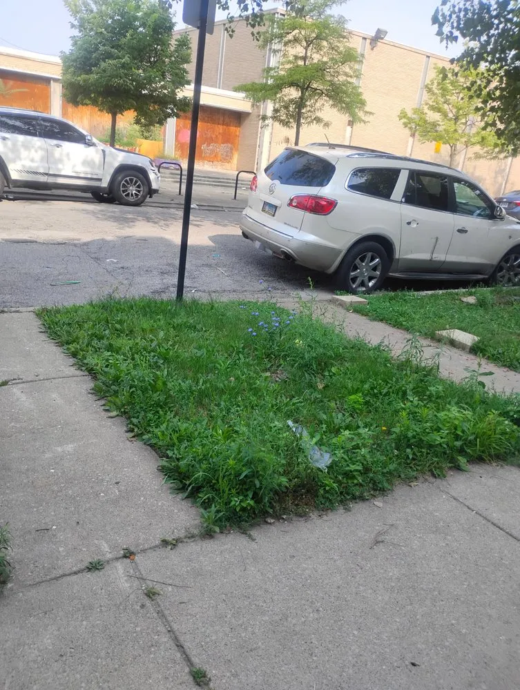 Trusted landscaping services for beautiful yards in Chicago, IL by El Mae Lawn Care Services